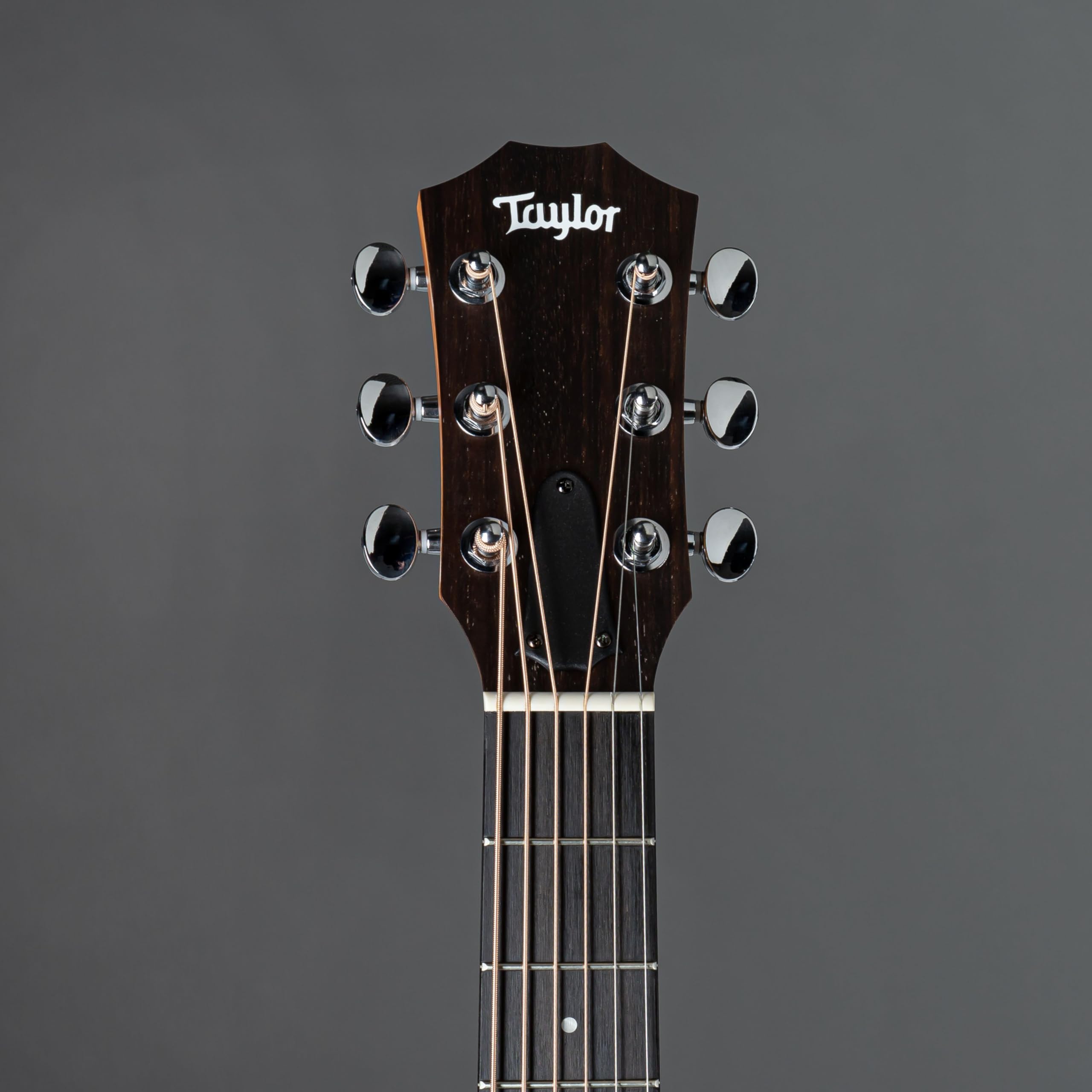 【美品】Taylor GS mini Sapele GS Mini Sapele Guitar | Shop at The Music Emporium